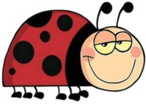 Image of Patricia's smiling ladybug logo