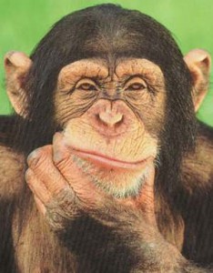 Monkey image provides metaphors for negative self-talk and the need for positive self-talk