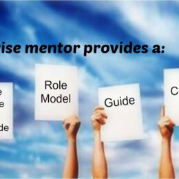 Wise mentors provide