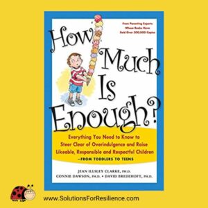 cover of How Much is Enough?