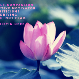 Quote by Kristin Neff about why self-compassion is a more effective motivator than self-criticism