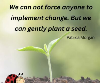 seed sprouting