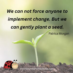 seed sprouting -- repair a relationship 