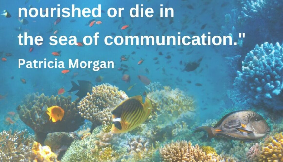 sea with fish to represent communication is our human