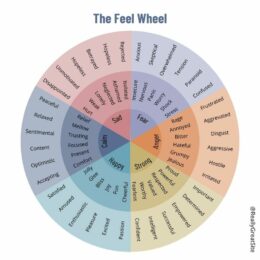 feel wheel