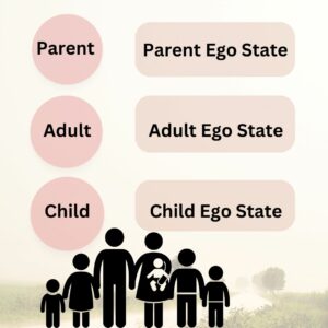 Ego states of Parent, Adult & Child