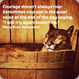 Courage quote