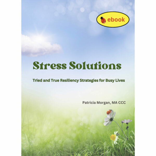 Stress Solutions: Tried and True Resiliency Strategies for Busy Lives E-Book