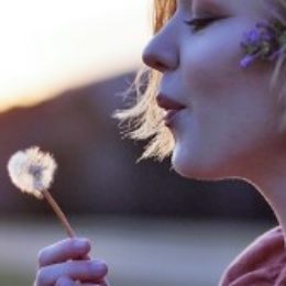dandelion is unlike a rose; personality differences