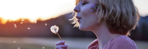 dandelion is unlike a rose; personality differences