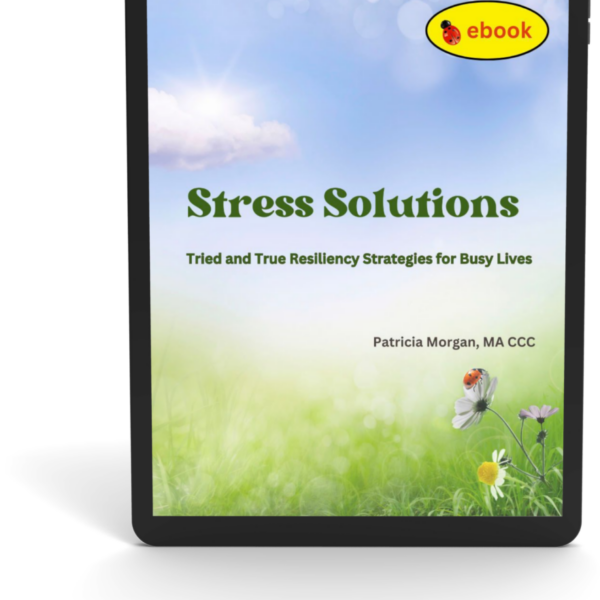 Stress Solutions: Tried and True Resiliency Strategies for Busy Lives E-Book