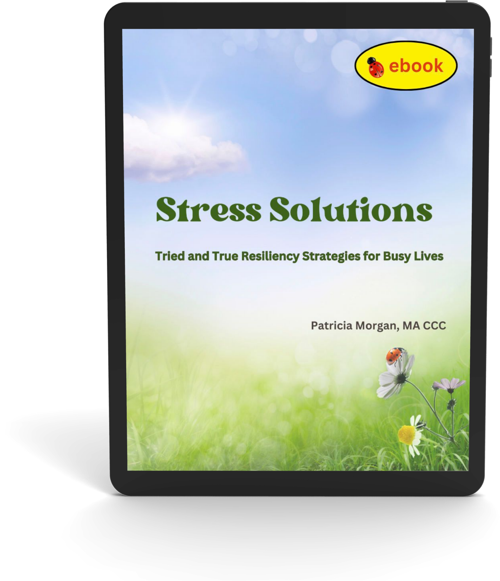 Stress Solutions: Tried and True Resiliency Strategies for Busy Lives E-Book