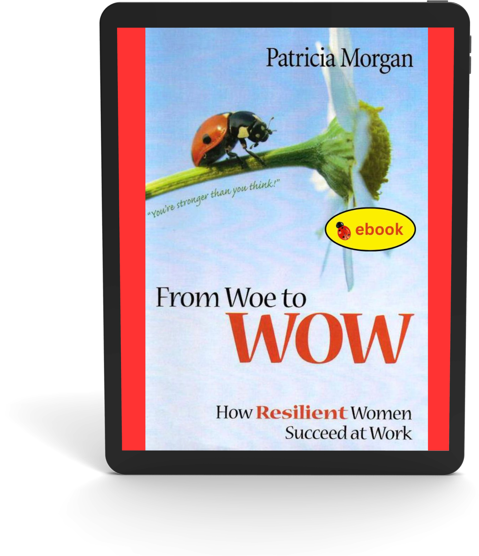 From Woe to WOW: How Resilient Women Succeed at Work (ebook)