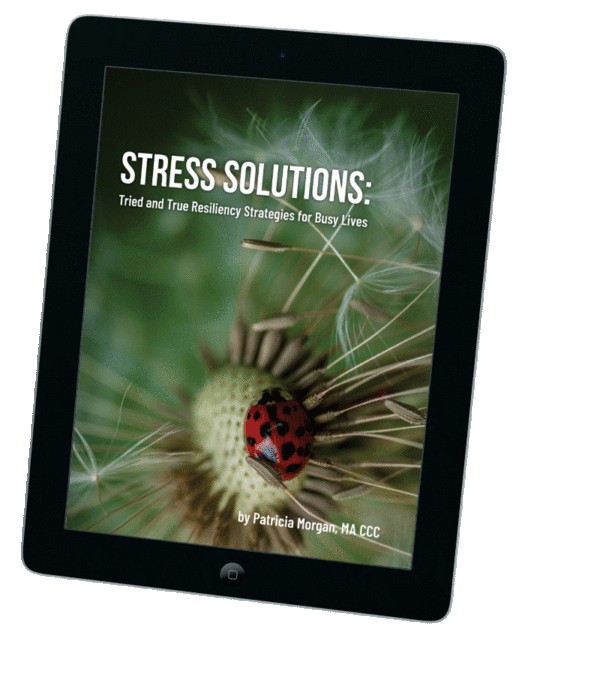 Stress Solutions