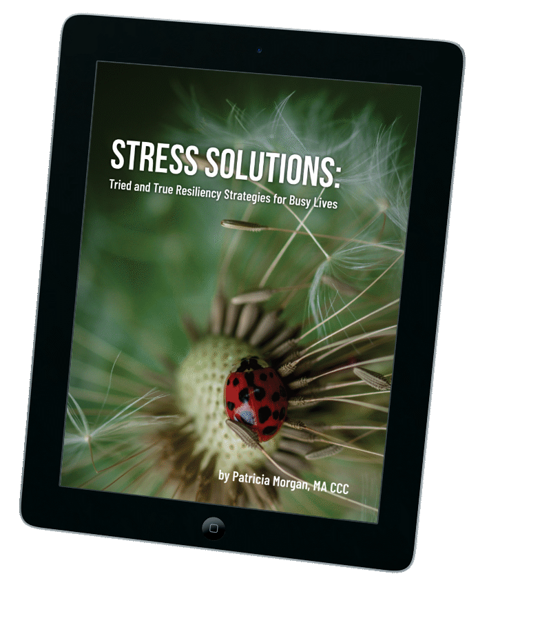 Stress Solutions: Tried and True Resiliency Strategies for Busy Lives E-Book