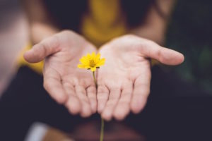 open hands to forgive