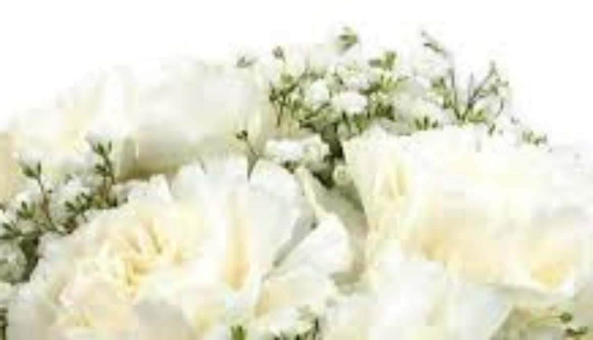 white carnations for Mother