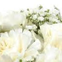 white carnations for Mother