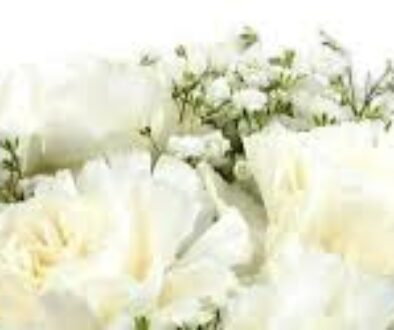 white carnations for Mother